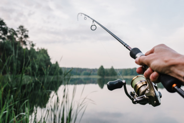 Rod/reel too big? : r/FishingForBeginners